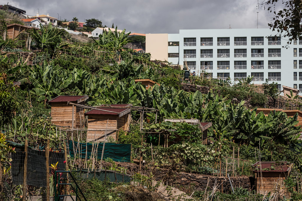 20140911-5D3-8861-RH.jpg